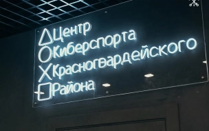 В  Красногвардейском районе появится первый государственный Центр киберспорта