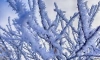 В Ленобласти 4 марта пройдет снег