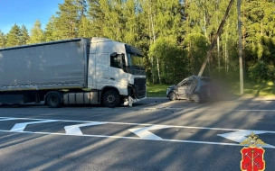 В Лужском районе произошло смертельное ДТП