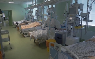 Иммунологическая комиссия изучила 12 случаев смерти среди привитых петербуржцев