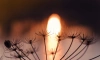 Детские игры с огнем закончились пожаром в Новинке