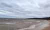 К концу текущего столетия  берег Финского залива может отступить на 200 метров