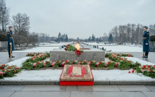 Губернатор поздравил петербуржцев с Ленинградским Днем Победы стихами