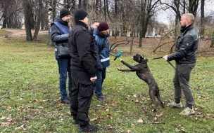 Собачников Таврического сада привлекли к административной ответственности