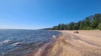 Свыше 50 петербуржцев привлекли к ответственности за купание в неположенных местах