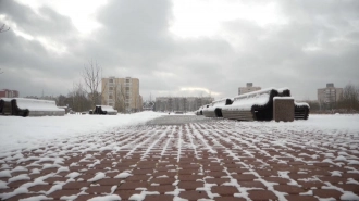 В Петербурге закрыли сады и парки из-за сильного ветра