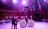 В Петербурге прошёл фестиваль циркового искусства "Без границ"