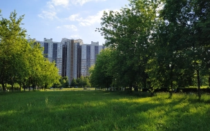 Эксперты спрогнозировали ситуацию на петербургском рынке съемного жилья осенью