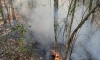 С начала года в Ленобласти произошло более 4000 пожаров в населенных пунктах и 309 - в лесах