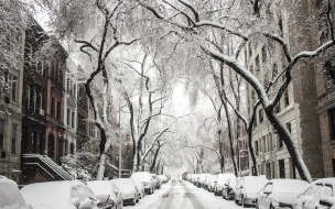 В Петербург 29 января вернется снежная зима