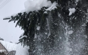 На западе Ленобласти местами ожидается сильный снег