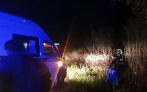 В Ленинградской области  маршрутка упала в кусты, водитель погиб