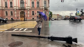 Петербургские сады и скверы закрыли из-за шквального ветра