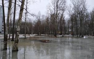 В пятницу в Ленобласти потеплеет до +4 градусов