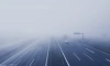 Утром в среду Петербург накроет туман