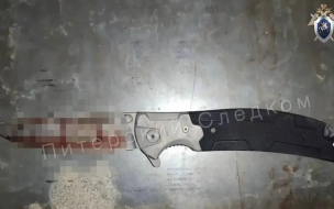 Молодой житель Колпино зарезал мужчину у магазина