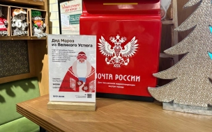 Официальный почтовый ящик для писем в резиденцию Деда Мороза установили в Доме книги