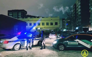 В Колпино полицейские устроили погоню за мигрантом без водительских прав