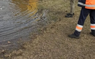 На Пискаревском проспекте затопило газон холодной водой