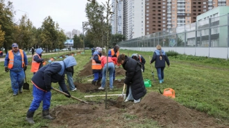 Около 200 тыс. петербуржцев приняли участие в Дне благоустройства