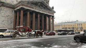 В Петербурге 21 января температура ожидается немного ниже климатической нормы