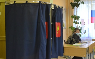 Эксперты рассказали, что явка на выборы в Петербурге может не дойти до 40 процентов