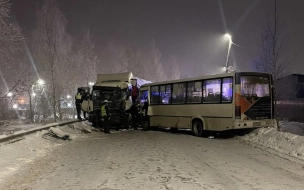 В результате ДТП с участием автобуса в Ленобласти госпитализированы водитель и 12 пассажиров