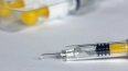 Гинцбург заявил, что "Спутник V" и назальная вакцина ...