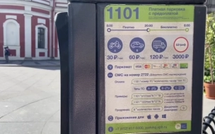 Петербургских водителей предупредили о новых сбоях при оплате парковки