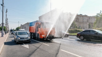 В Петербурге усилят полив цветов, чтобы спасти их от жары