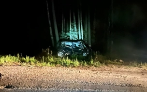 Пьяный водитель угодил в кювет на дороге "Псков-Гдов-Сланцы-Кингисепп-Краколье"