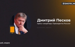 Песков: у Путина мало времени на предвыборные мероприятия