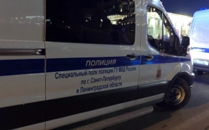 План "перехват" вводили в Петербурге из-за стрельбы на юге КАД
