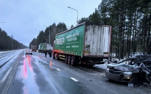 В аварии на трассе "Кола" в Ленобласти погиб 18-летний водитель Skoda