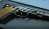 В Выборгском районе пенсионер угрожал женщине пистолетом в зоомагазине