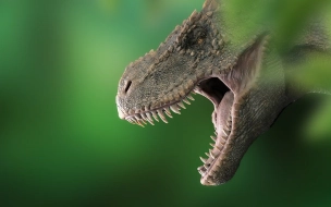 Палеонтологи выяснили, почему тираннозавры часто кусали друг друга за морды