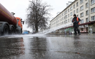 В Петербурге на прошлой неделе началась полноценная мойка города