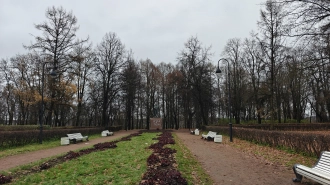 Неизвестные вандалы изуродовали памятник Ленину в Красном Селе