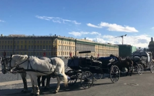 Ленинградская область не согласовывала вопрос введения курортного сбора в Петербурге