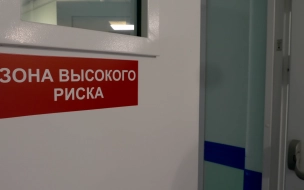 В Петербурге коронавирусом заболели 3756 человек