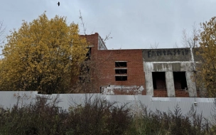 По факту нападения бродячих собак на мальчика в Петербурге возбуждено уголовное дело