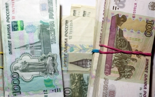 В 2023 году в Петербурге выросла заработная плата бюджетников