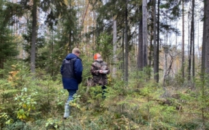 В Тверской области нашли скелетированное тело пропавшего год назад подростка