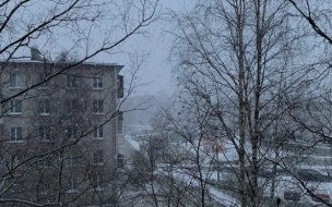 В Петербурге объявили  "желтый" уровень погодной опасности