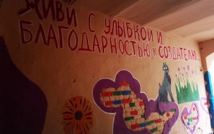 Во "дворе Нельсона" на Петроградке продолжают появляться рисунки