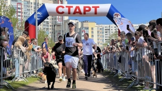 "Необыкновенный кросс" вместе с собаками пробежали более 600 жителей Петербурга