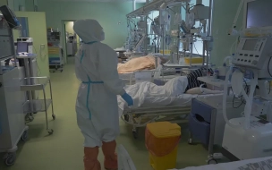 Еще 42 жителя Петербурга умерло от коронавируса 
