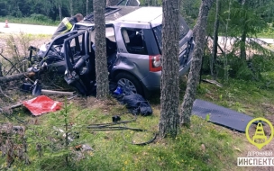 Житель Петербурга погиб в аварии в Ленобласти