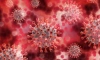 В Ленинградской области зарегистрировали 123 новых случая коронавируса