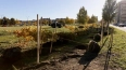 В Смольном подвели промежуточные итоги месячника по благ...
